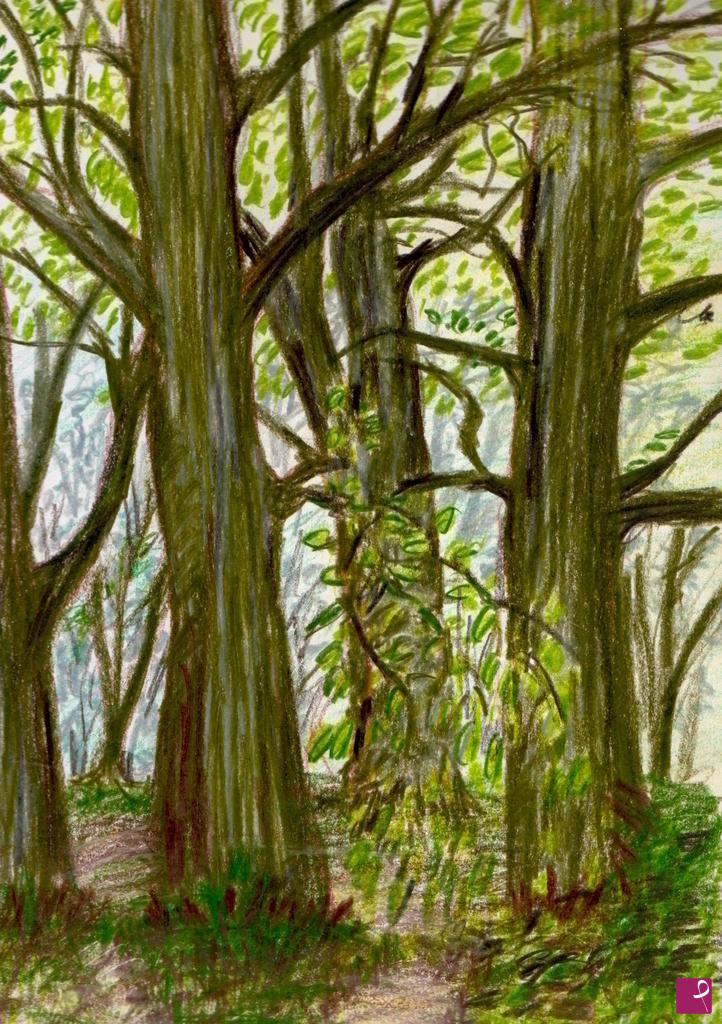 quadri in vendita online - Nel bosco in golena d'Adige