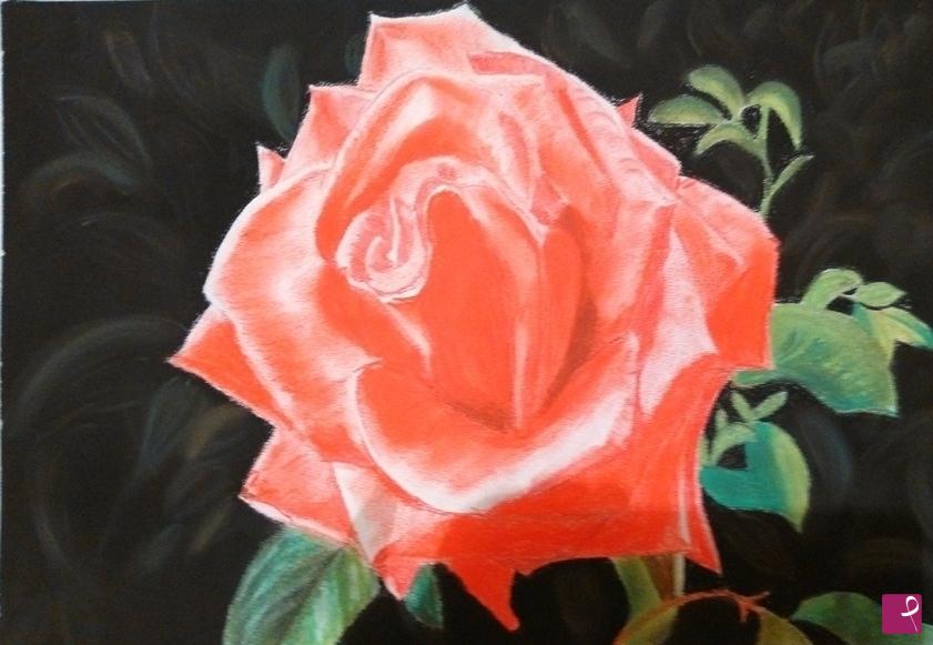 quadri in vendita online - nel mio giardino rosa