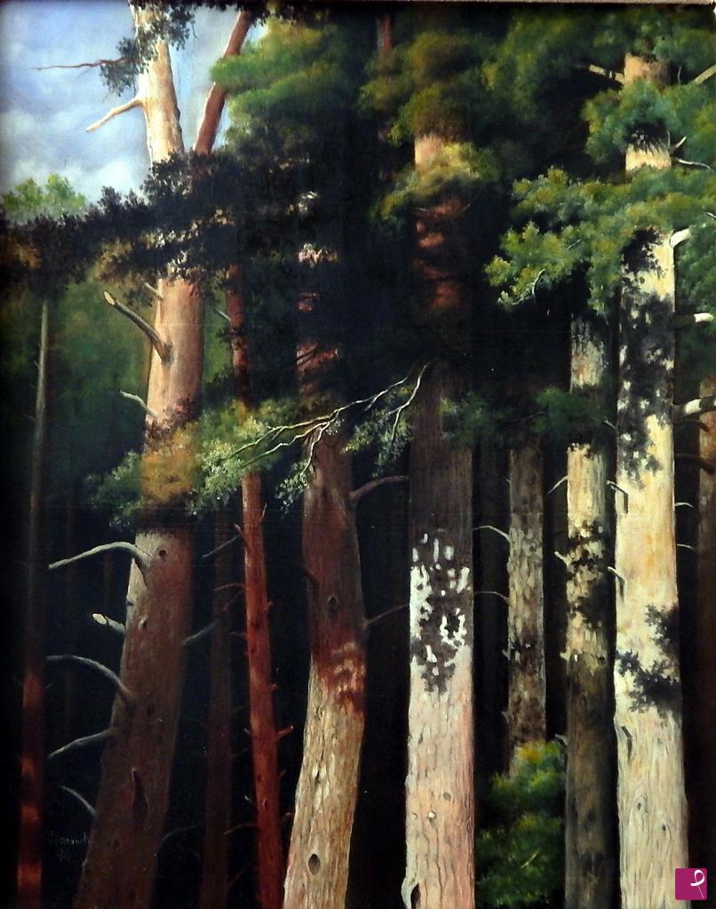 quadri in vendita online - nella foresta