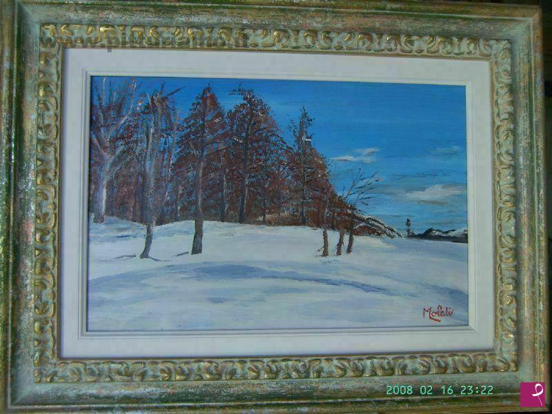 quadri in vendita online - neve a s.anna