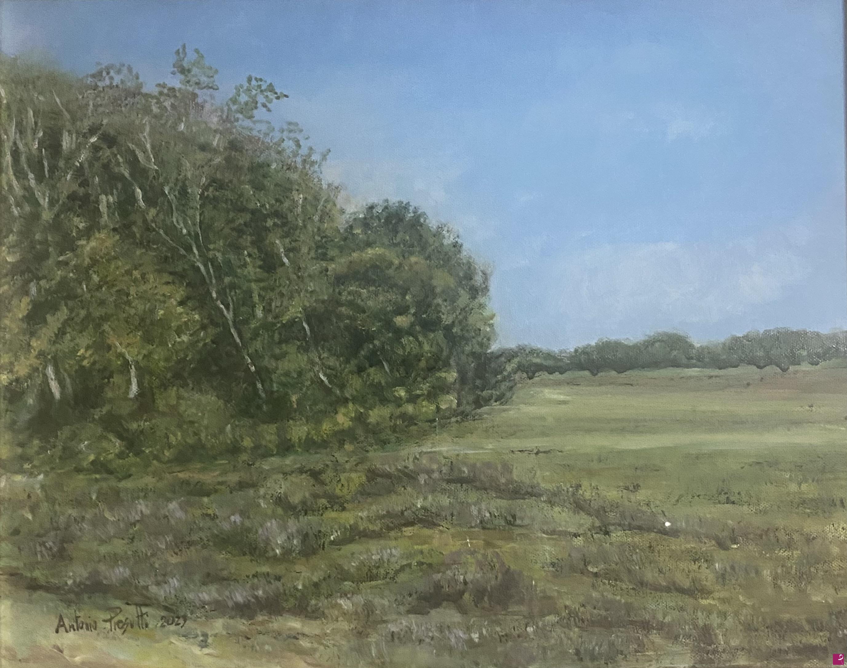 quadri in vendita online - New Forest - Hampshire  
