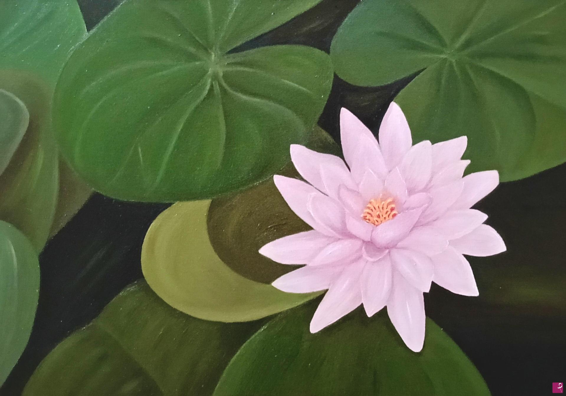 quadri in vendita online - "Ninfea rosa" - Olio su tela 