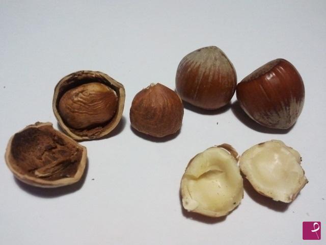 quadri in vendita online - Nocciole 