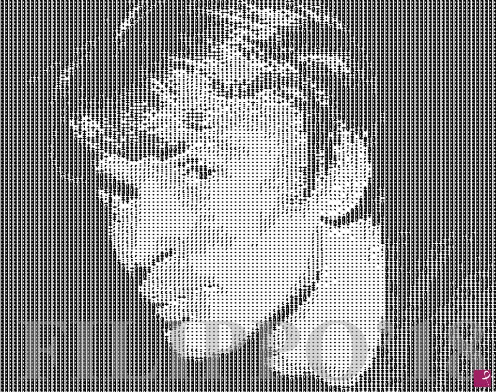 quadri in vendita online - Nureyev
