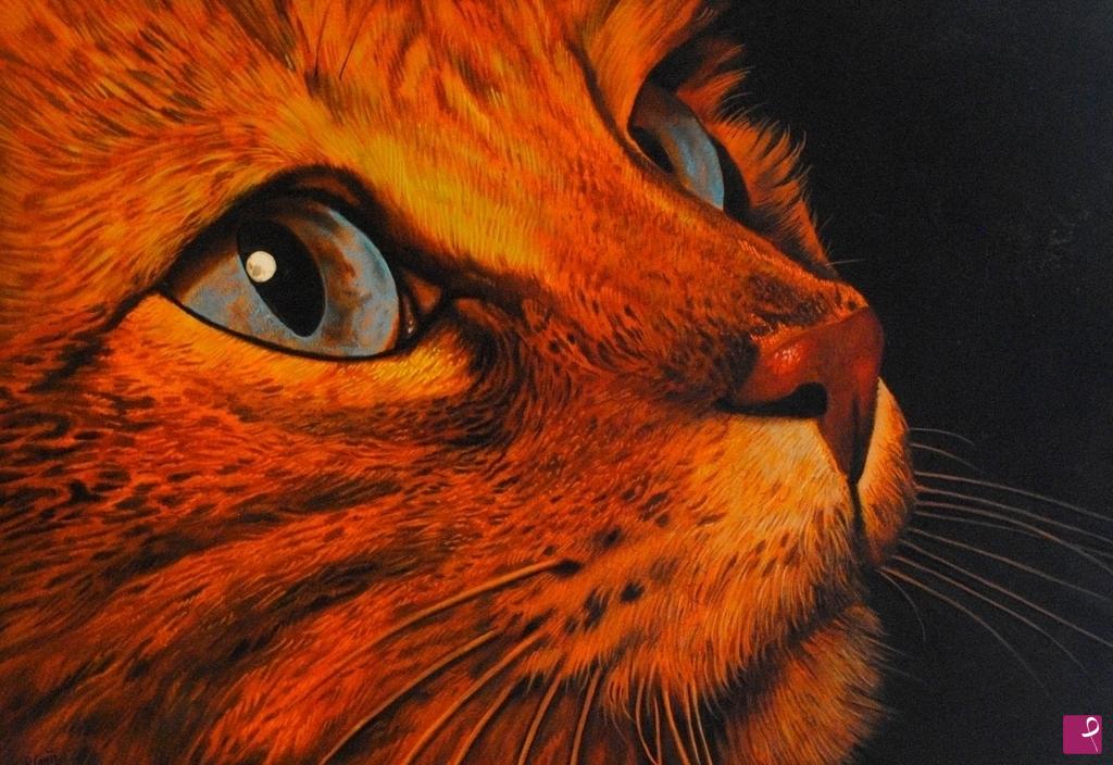 quadri in vendita online - Occhi di gatto