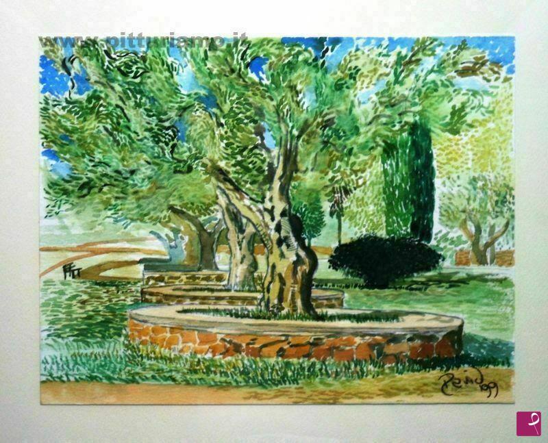 quadri in vendita online - OLIVO, PARCO NICOLAS GREEN, RENDE