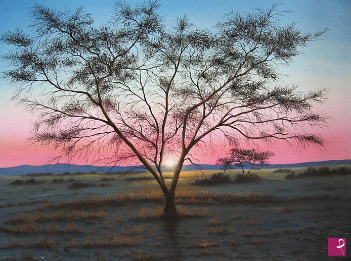 quadri in vendita online - Ombre della savana