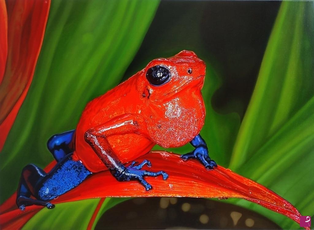 quadri in vendita online - "OOPHAGA PUMILIO"