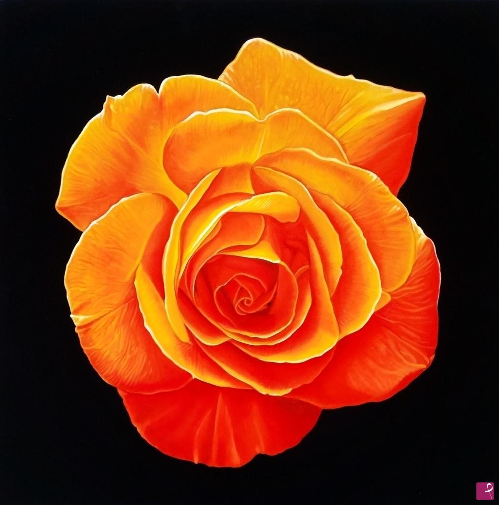 quadri in vendita online - "ORANGE ROSE"