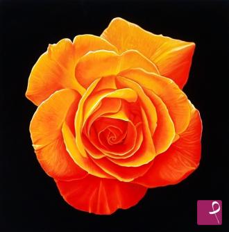 Quadro venduto su PitturiAmo
