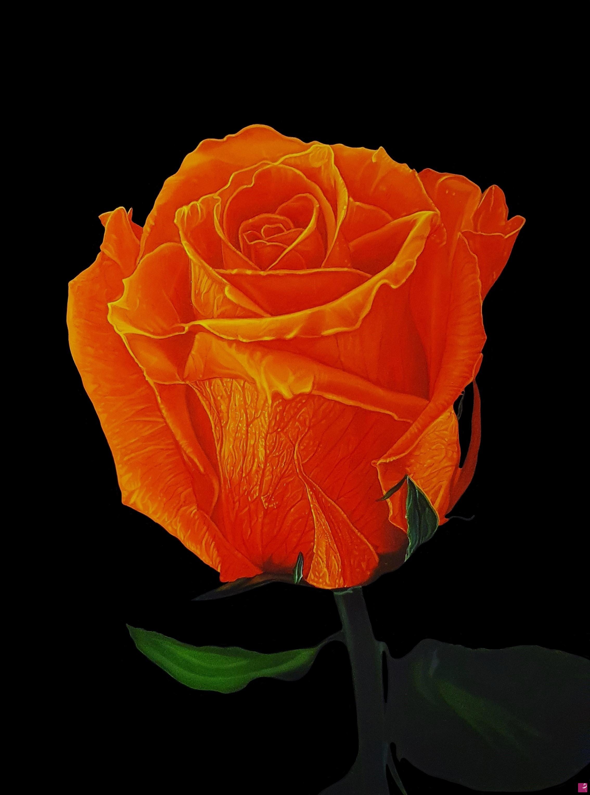 quadri in vendita online - "ORANGE ROSE II"