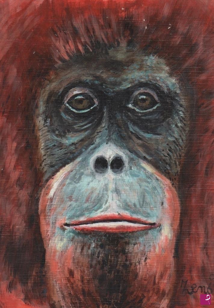 quadri in vendita online - Orangutan