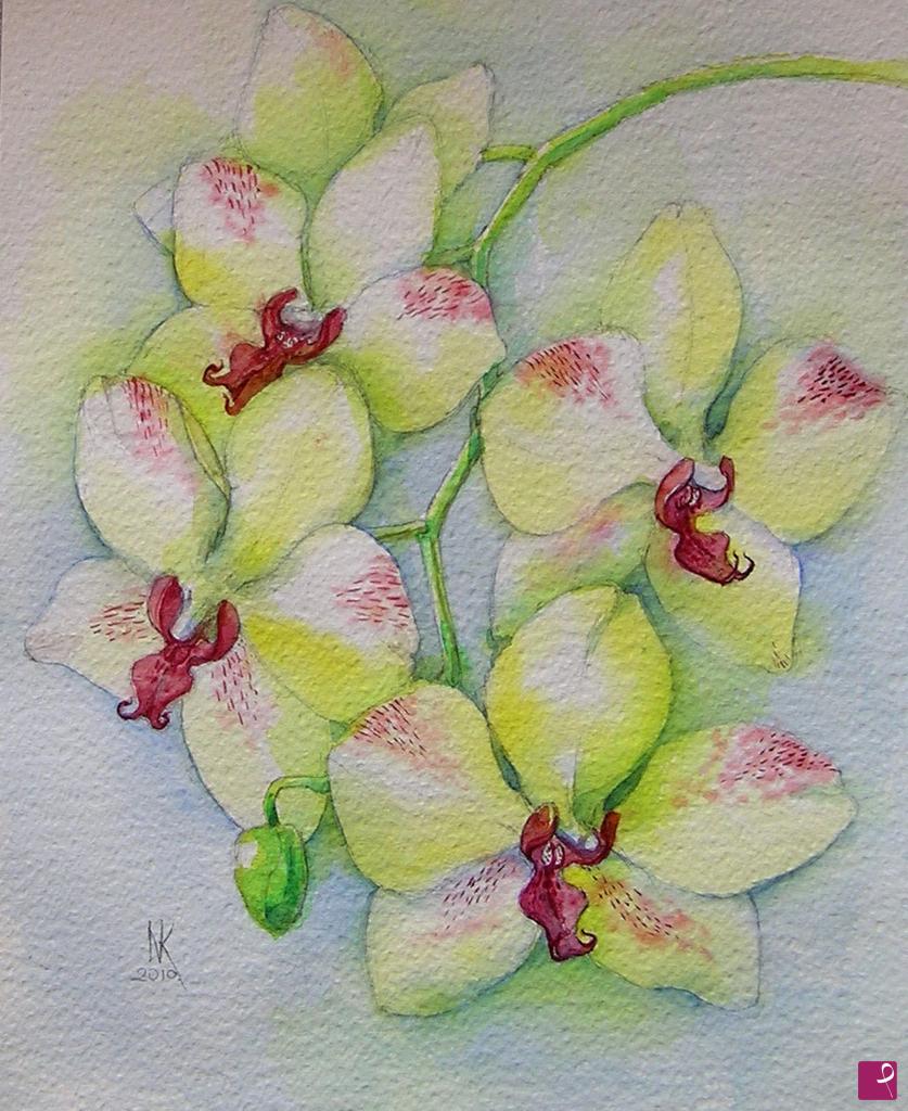 quadri in vendita online - ORCHIDEA  