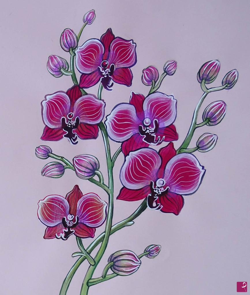 quadri in vendita online - orchidea