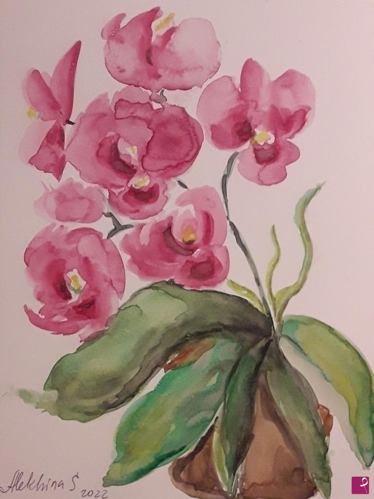 quadri in vendita online - Orchidea