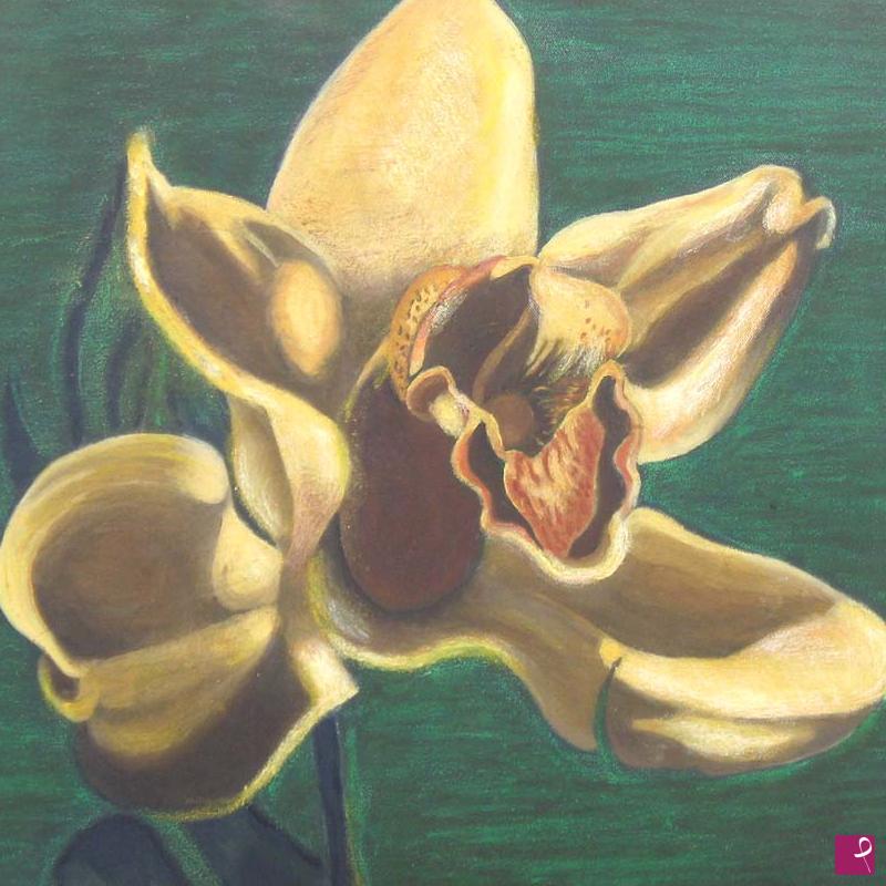 quadri in vendita online - "Orchidea"