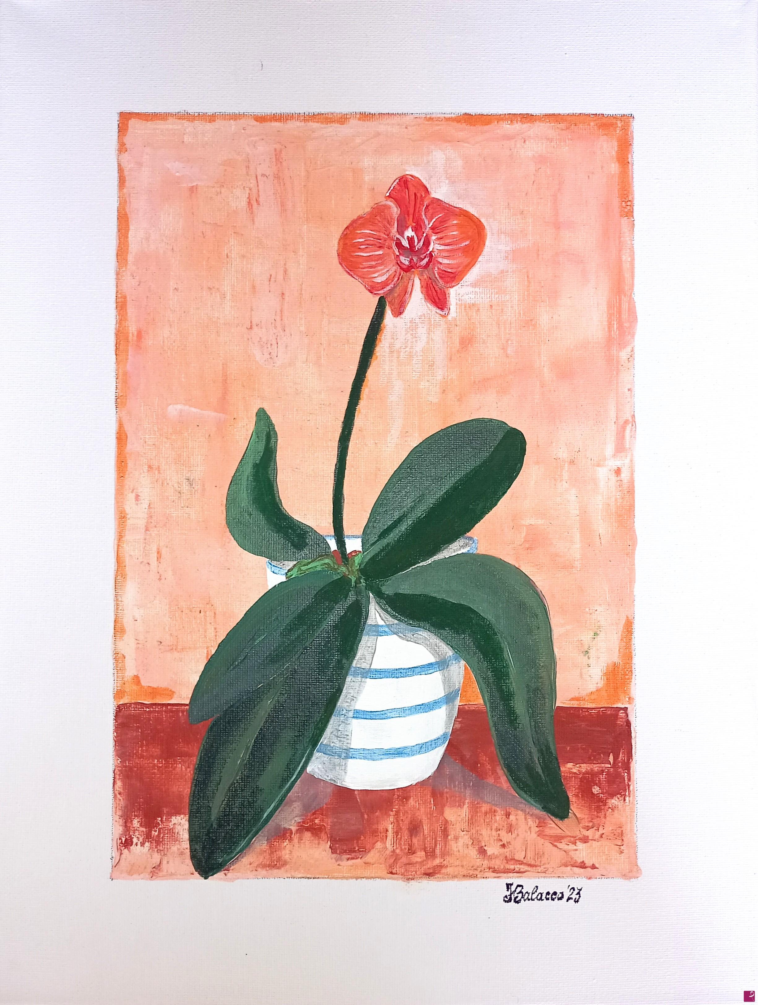 quadri in vendita online - Orchidea 