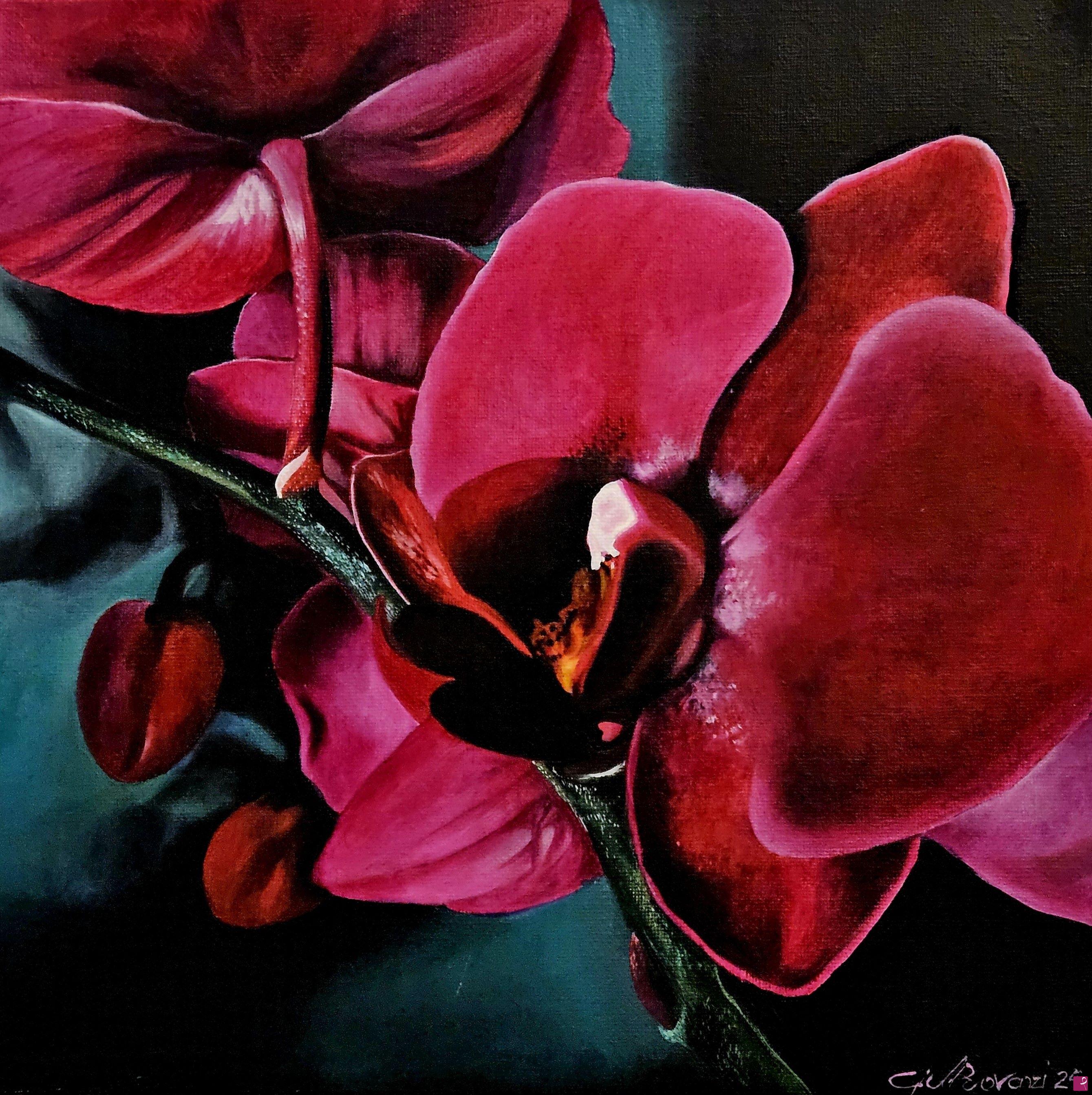 quadri in vendita online - Orchidea