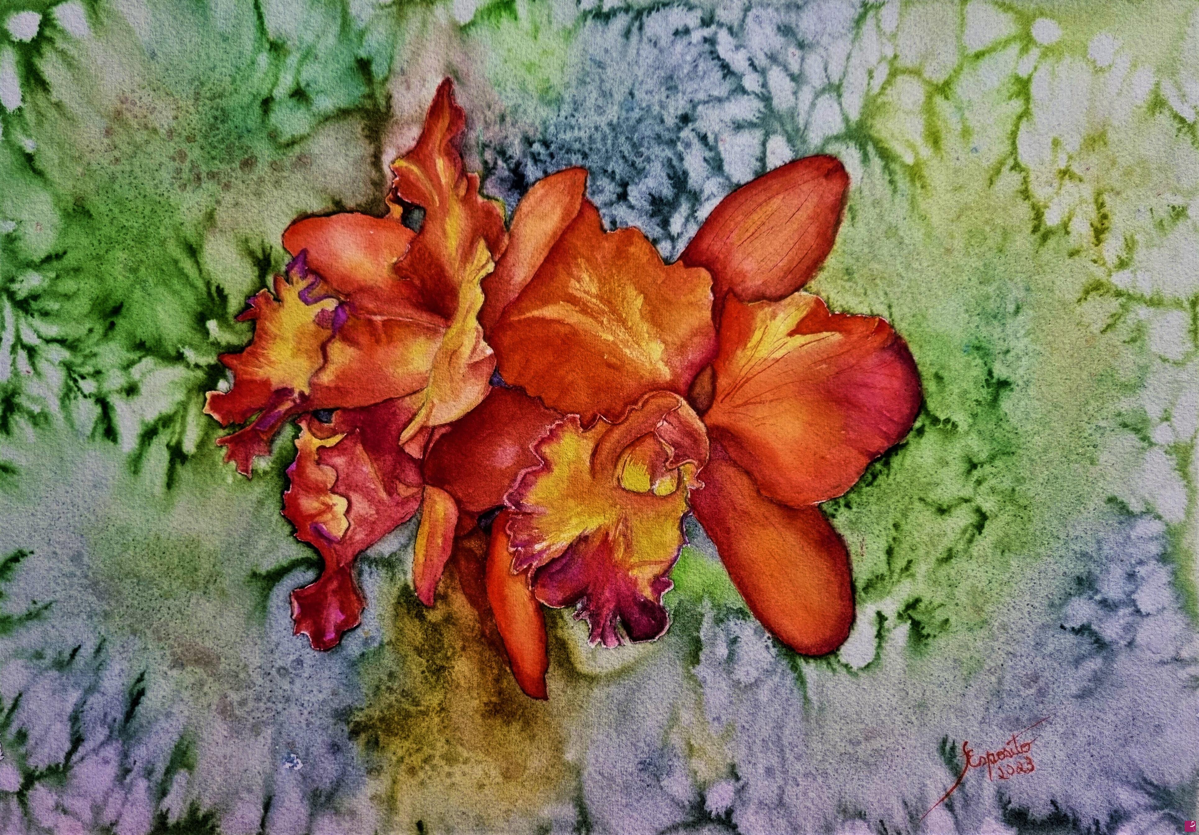 quadri in vendita online - Orchidea dell'Imperatore