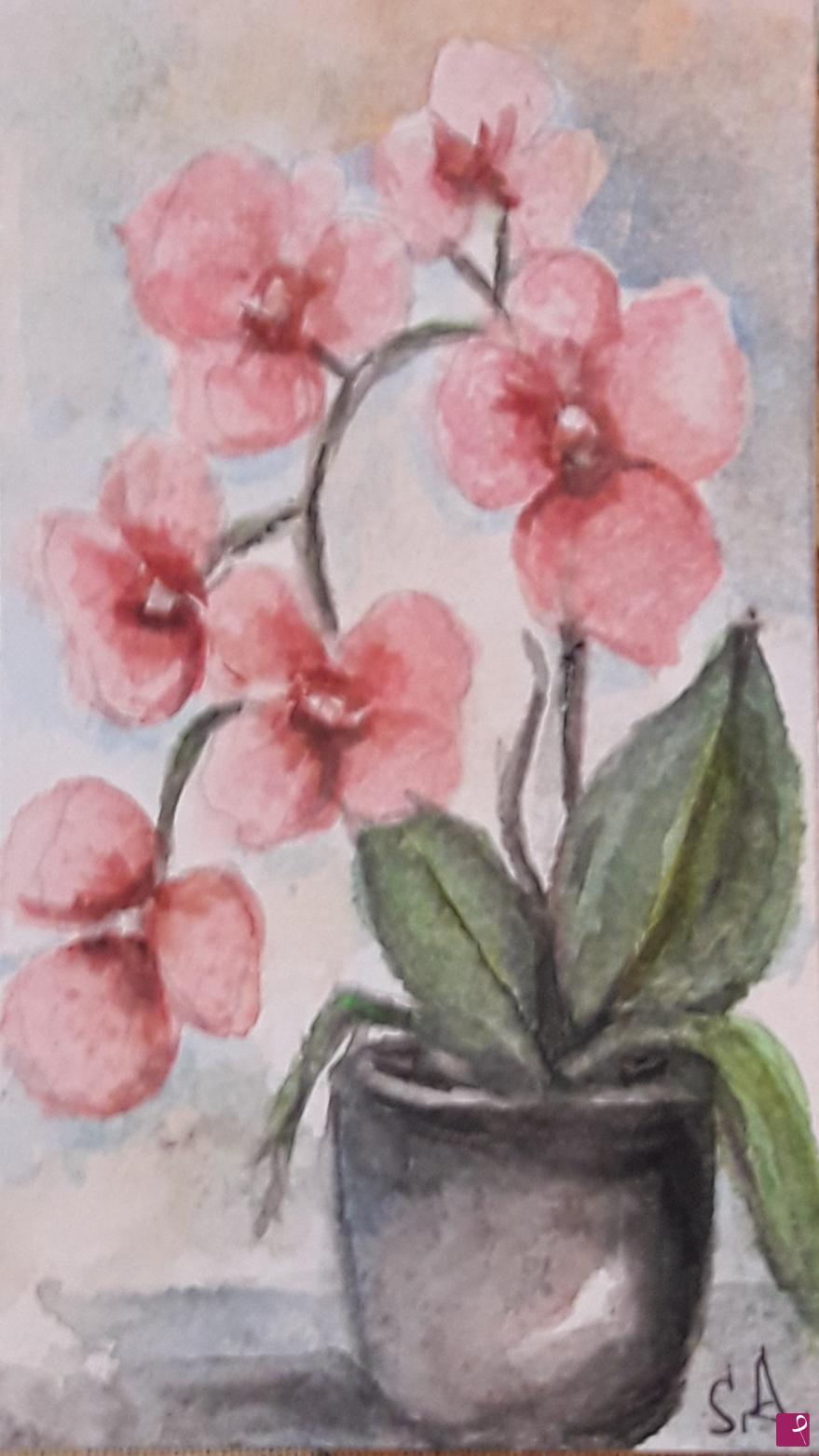 quadri in vendita online - Orchidea in vaso