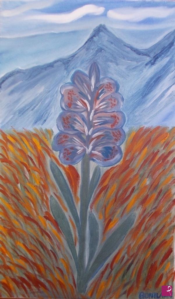 quadri in vendita online - Orchidea Selvaggia