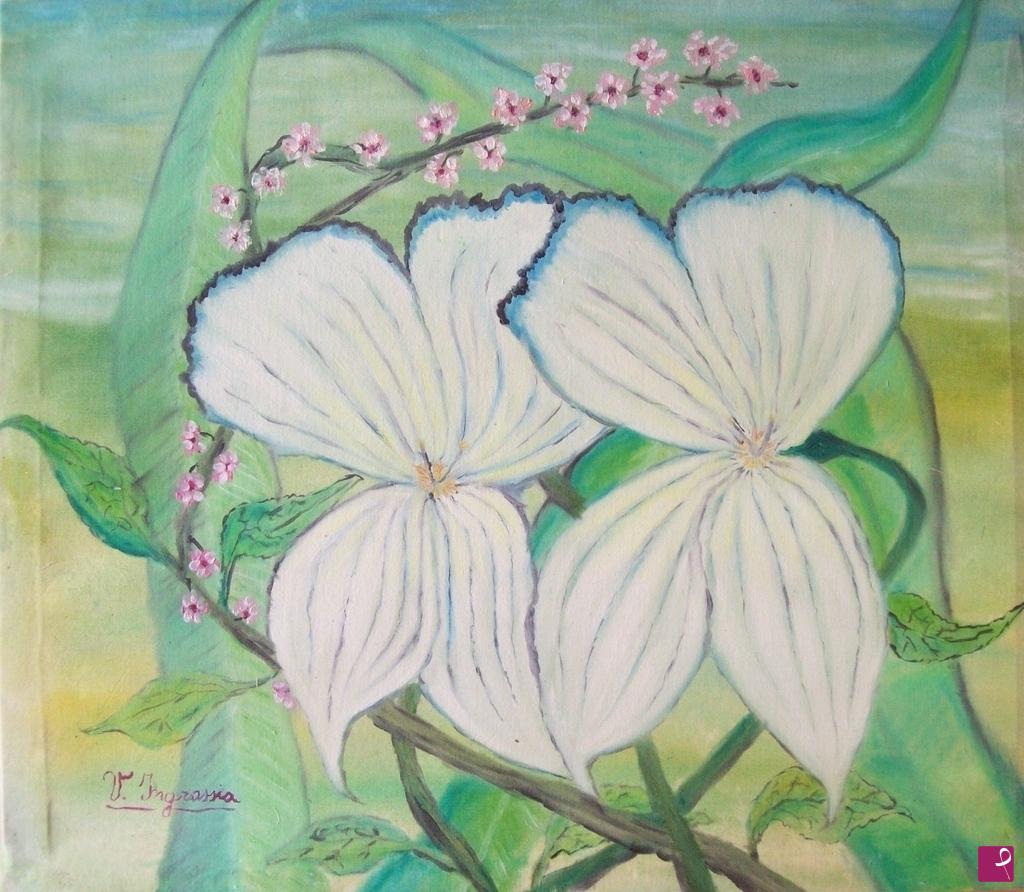 quadri in vendita online - orchidee