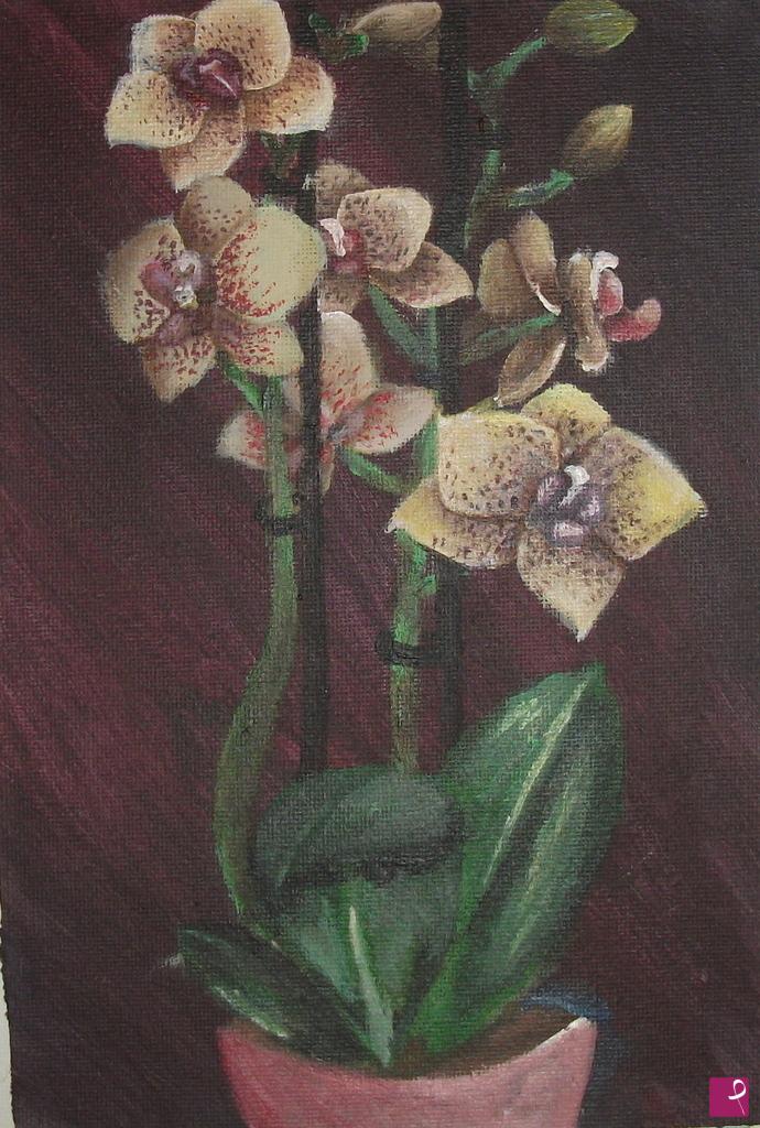 quadri in vendita online - Orchidee