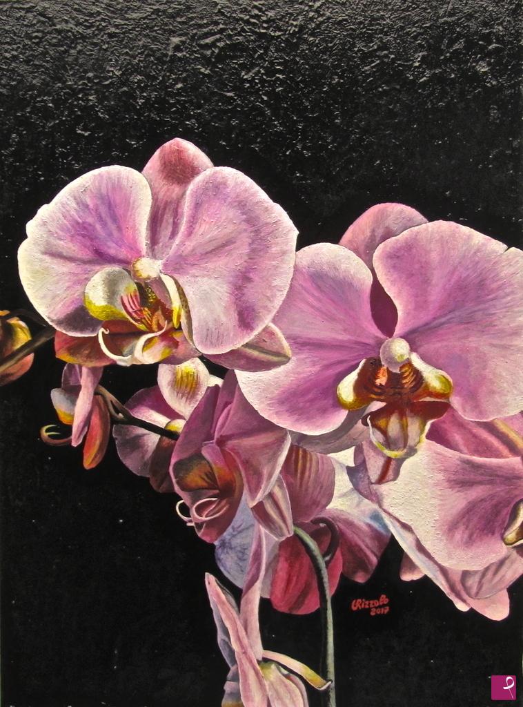 quadri in vendita online - ORCHIDEE