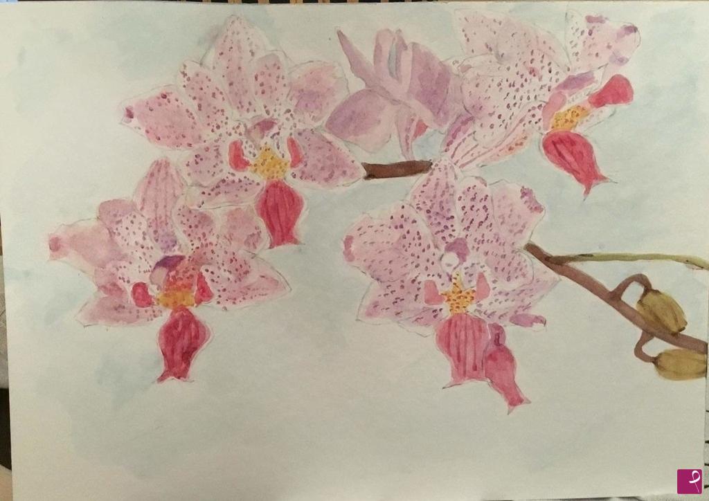 quadri in vendita online - Orchidee