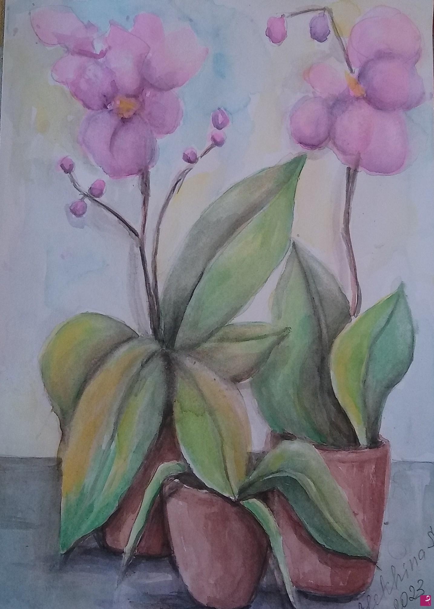 quadri in vendita online - Orchidee