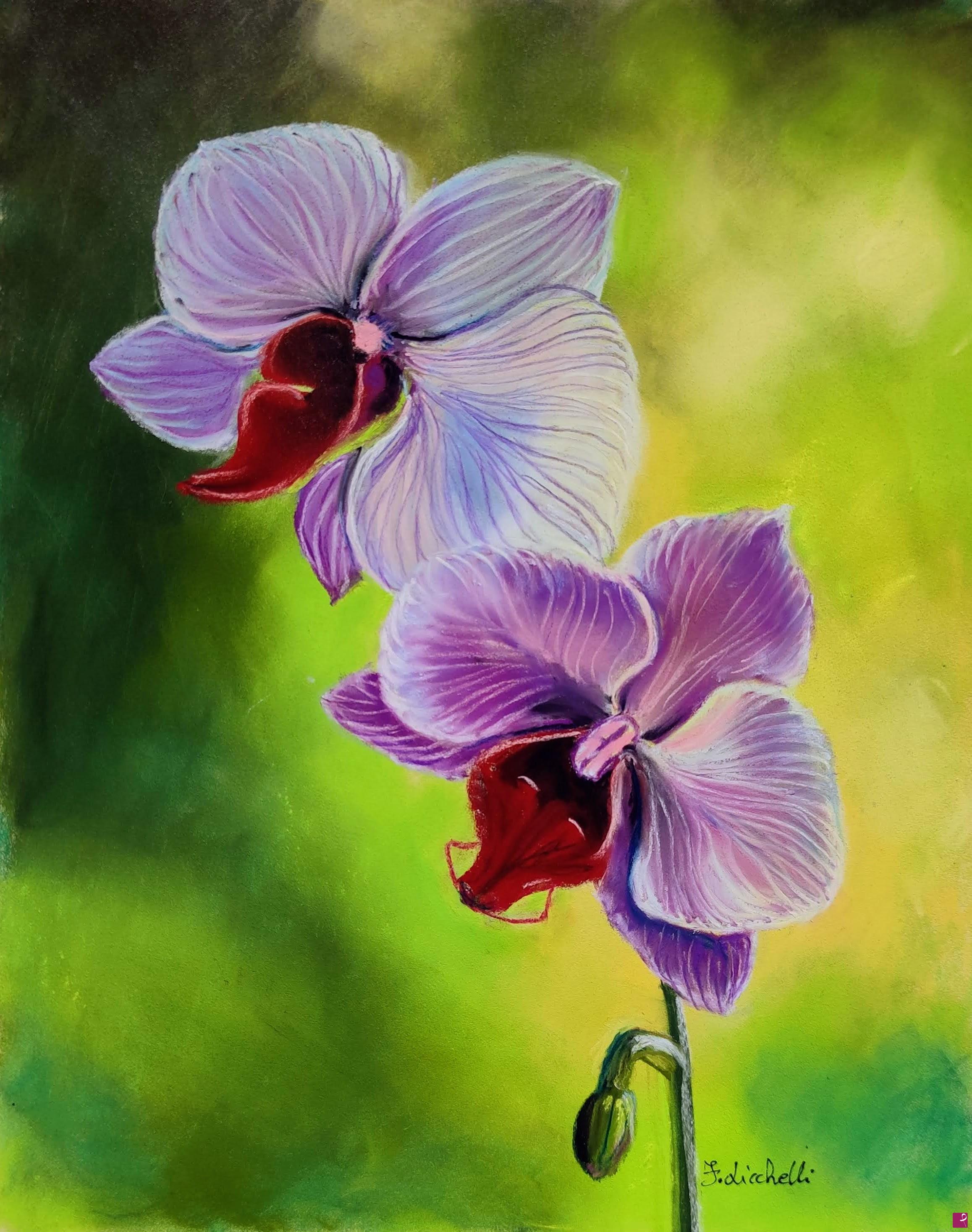 quadri in vendita online - Orchidee