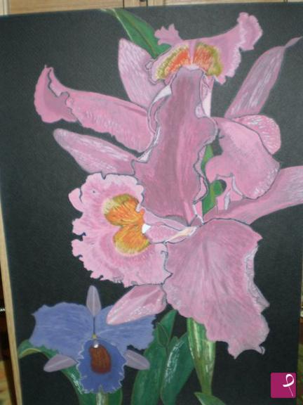 quadri in vendita online - Orchidee