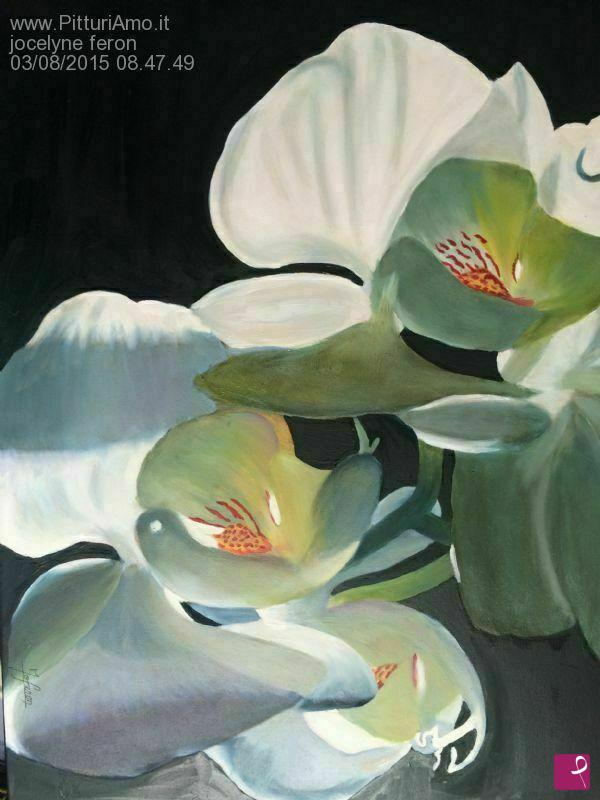 quadri in vendita online - Orchidee