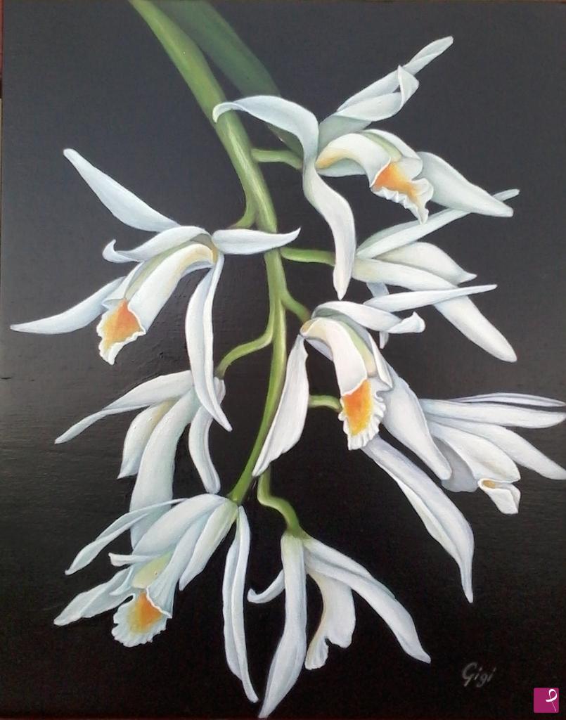 quadri in vendita online - orchidee