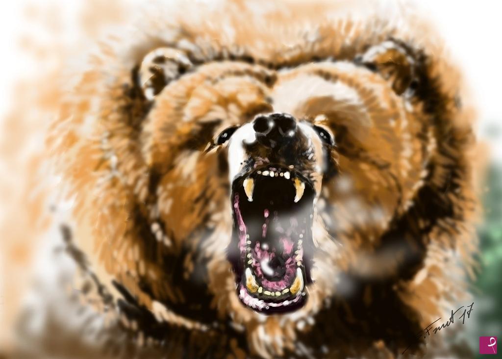 quadri in vendita online - Orso