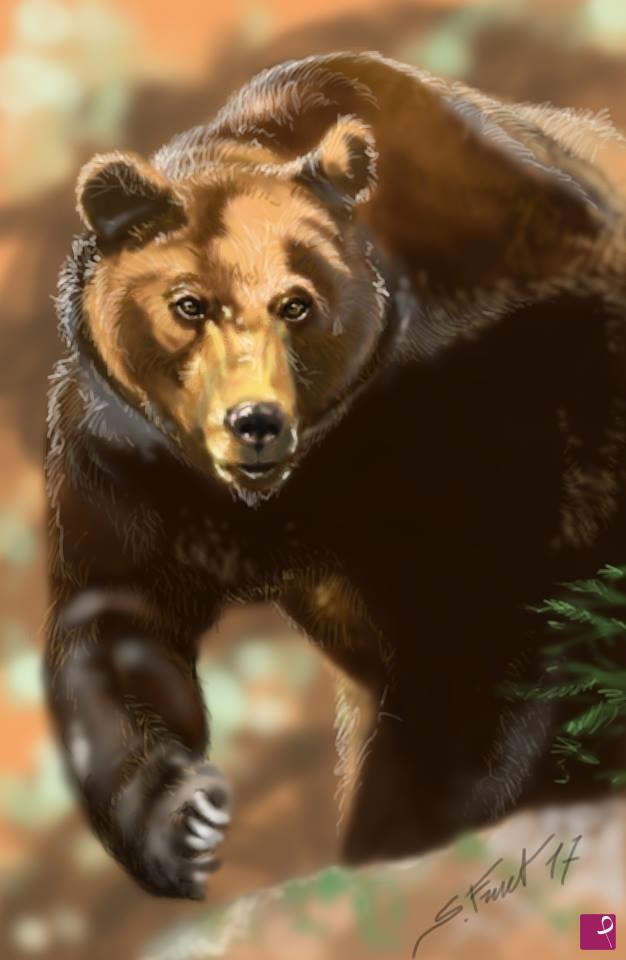 quadri in vendita online - Orso