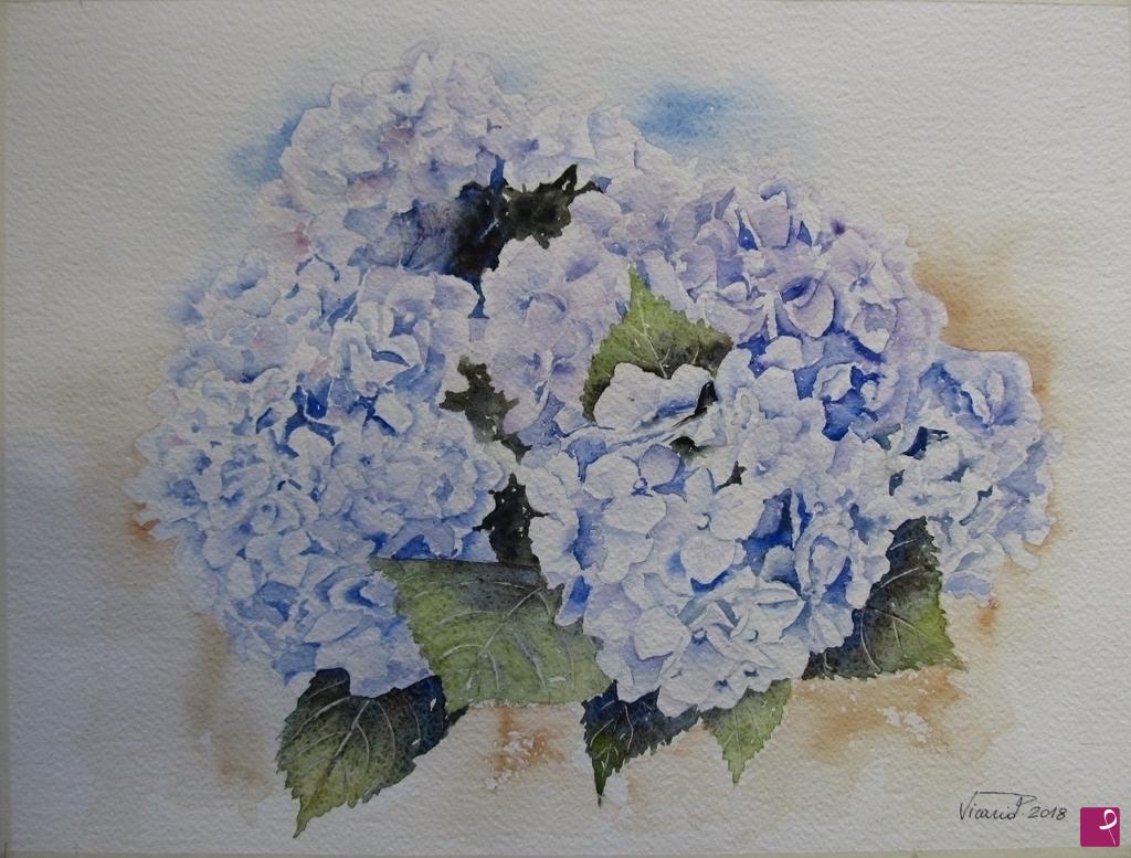 quadri in vendita online - Ortensie blu