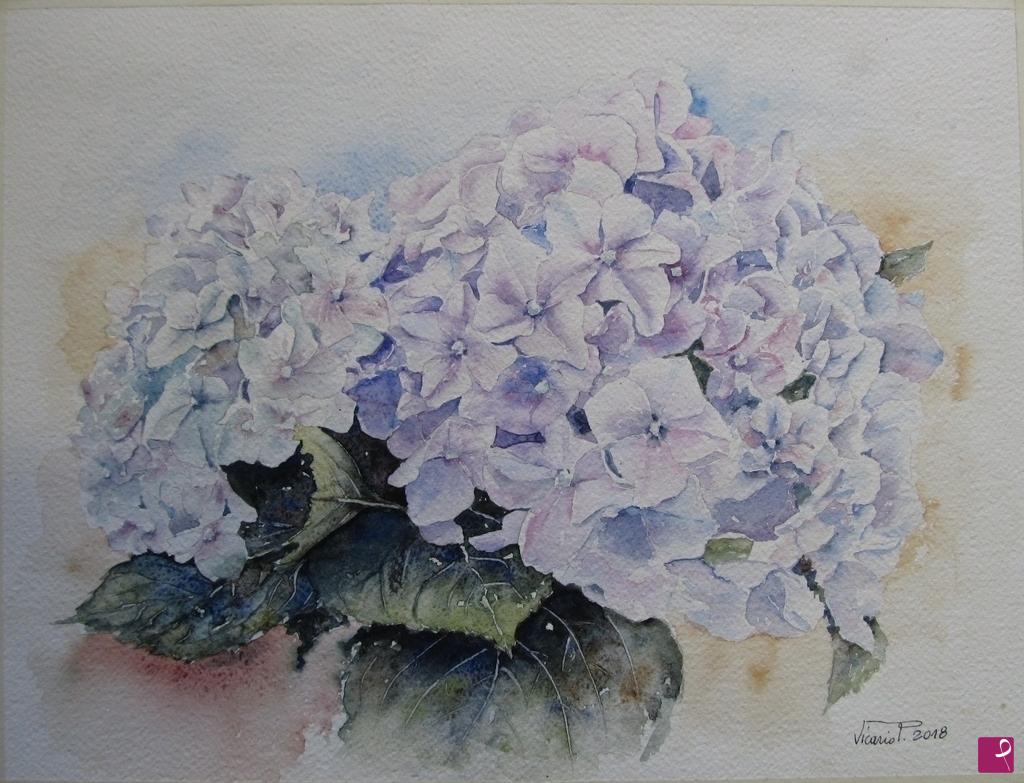 quadri in vendita online - Ortensie rosa