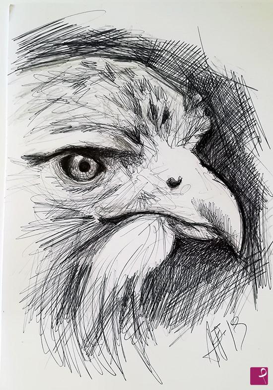 quadri in vendita online - Owl sketch