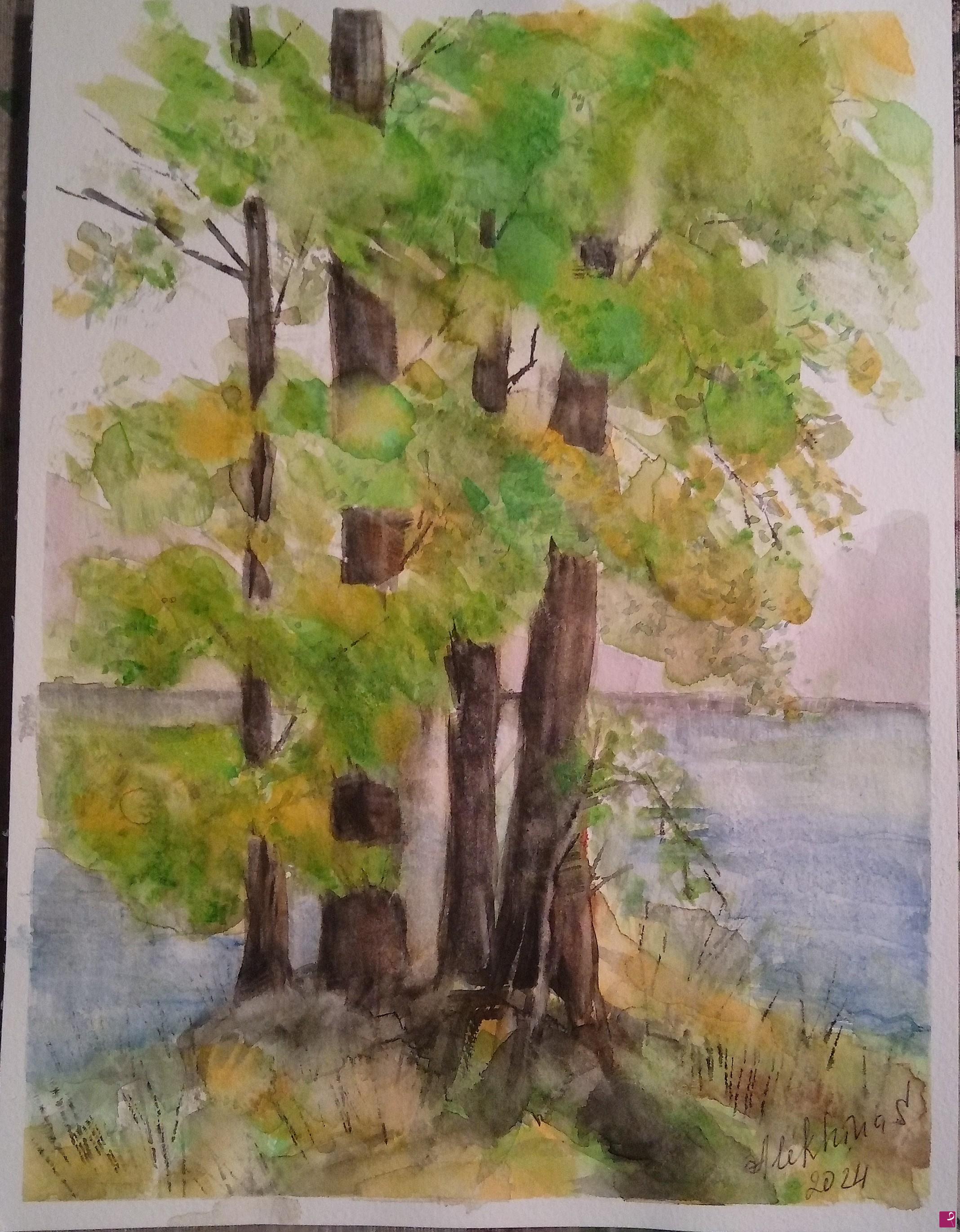 quadri in vendita online - Paesaggio  con alberi 