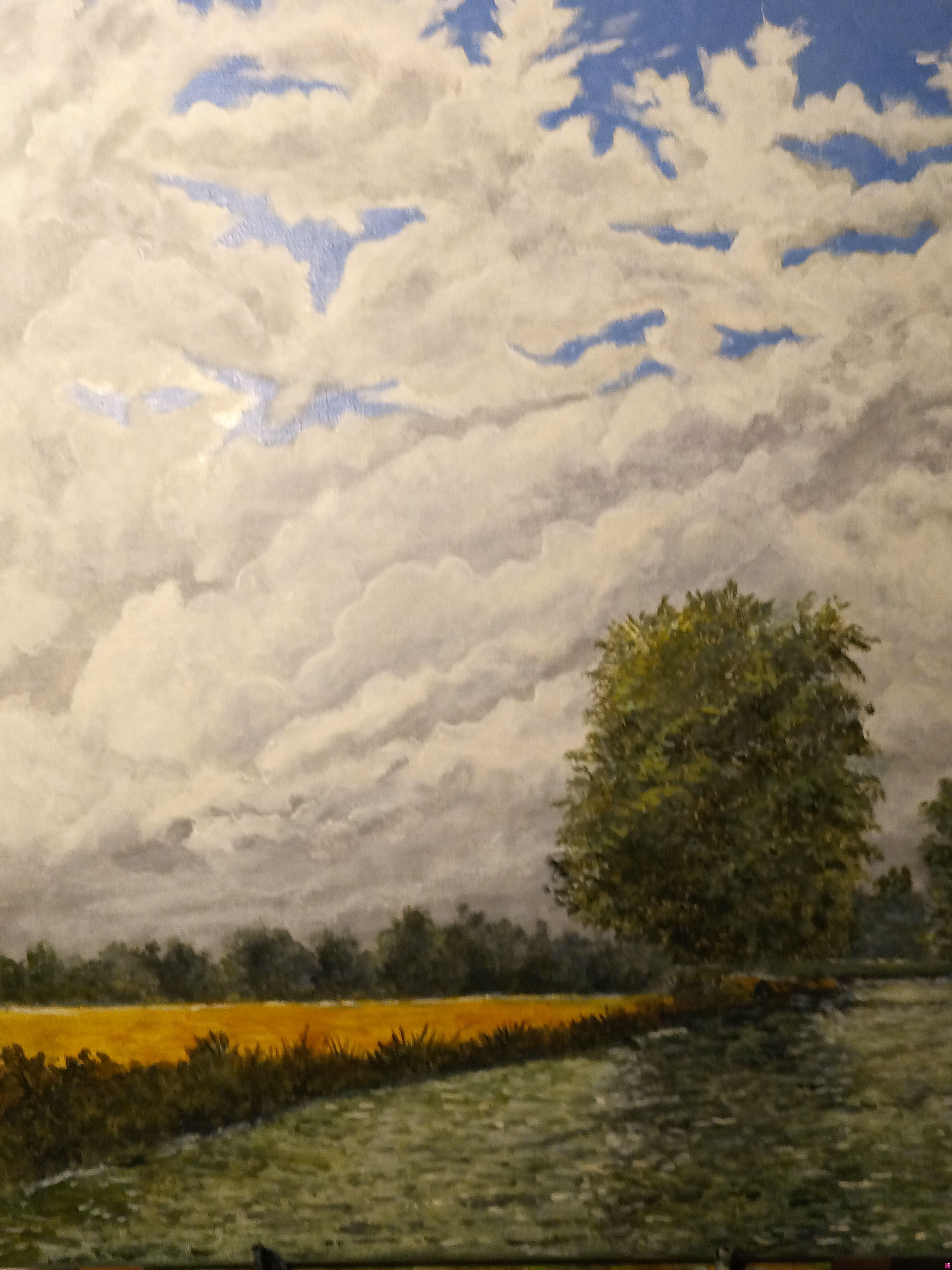 quadri in vendita online - Paesaggio naturalistico
