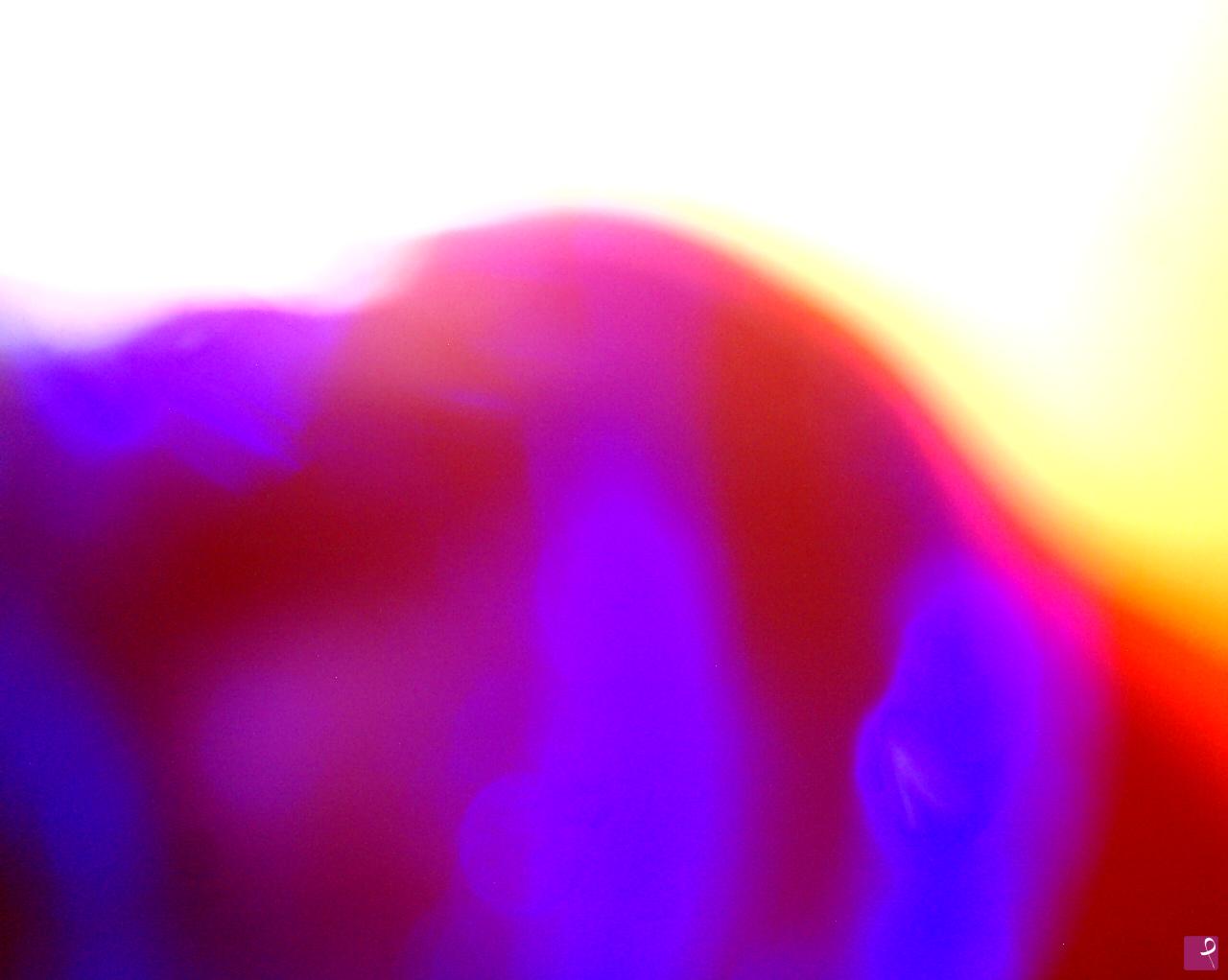 quadri in vendita online - Paesaggio ...paesaggio di luce