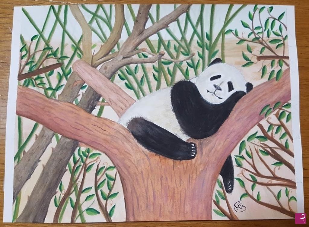 quadri in vendita online - Panda a riposo