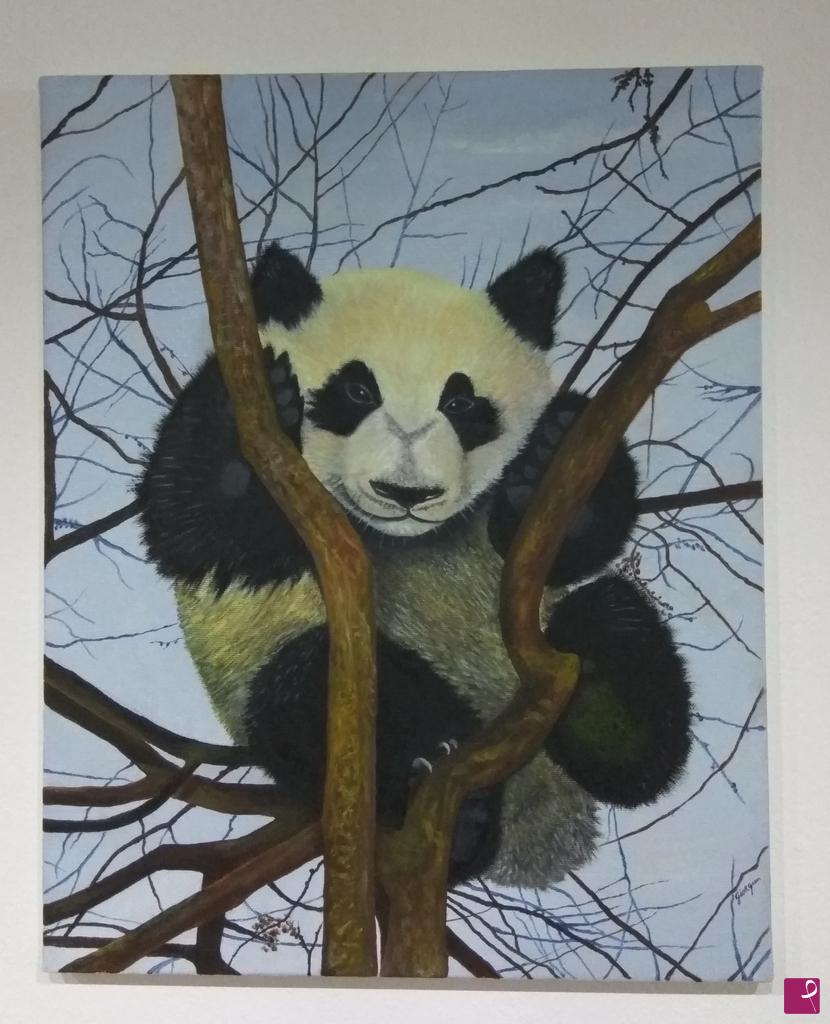 quadri in vendita online - Panda sull' albero 