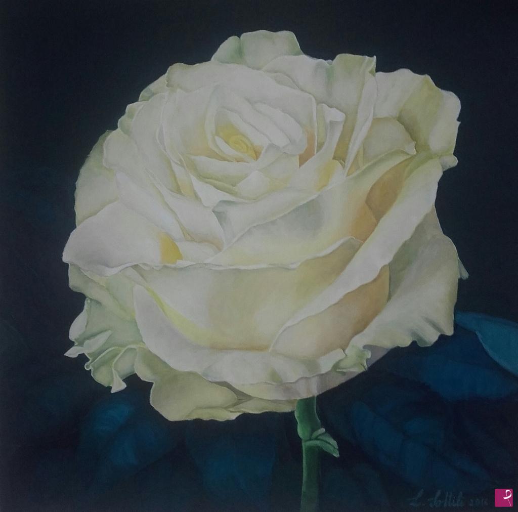 quadri in vendita online - Paradise Rose