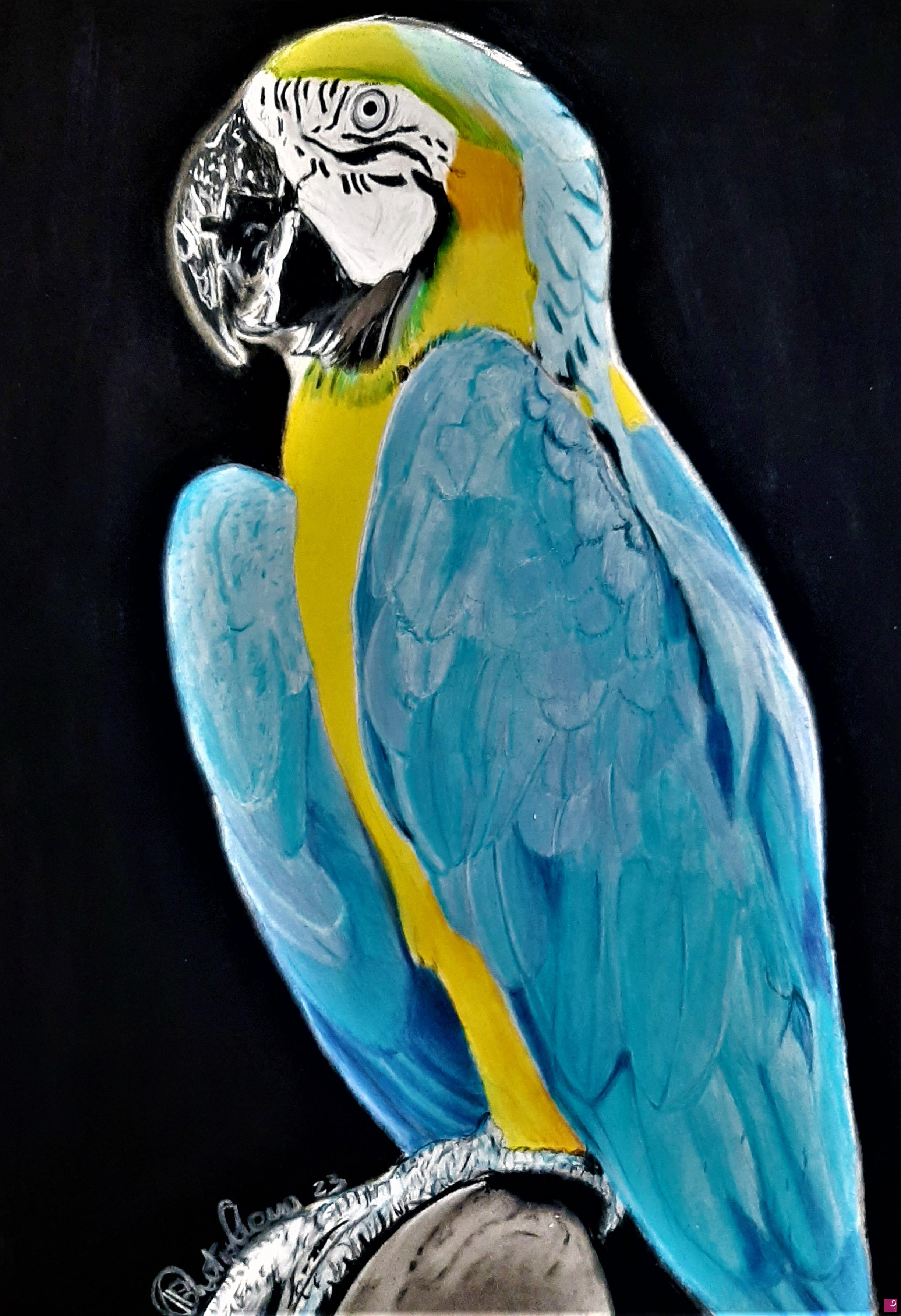 quadri in vendita online - Parot