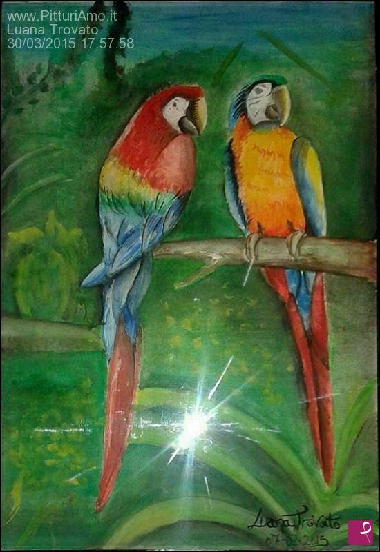 quadri in vendita online - Parrots
