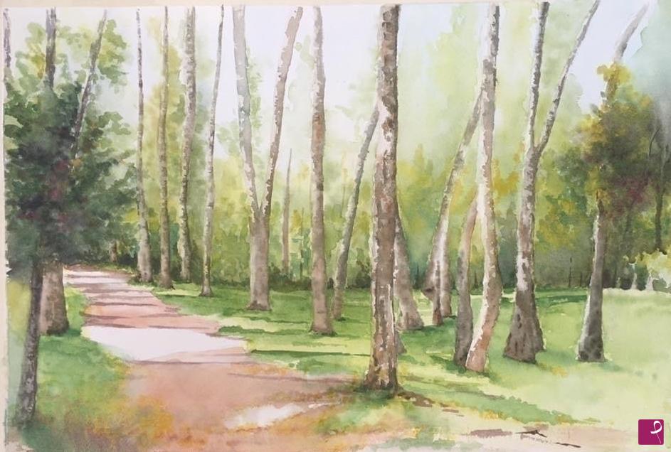 quadri in vendita online - PASSEGGIATA AI SETTE LARICI ( VAL DI NON)
