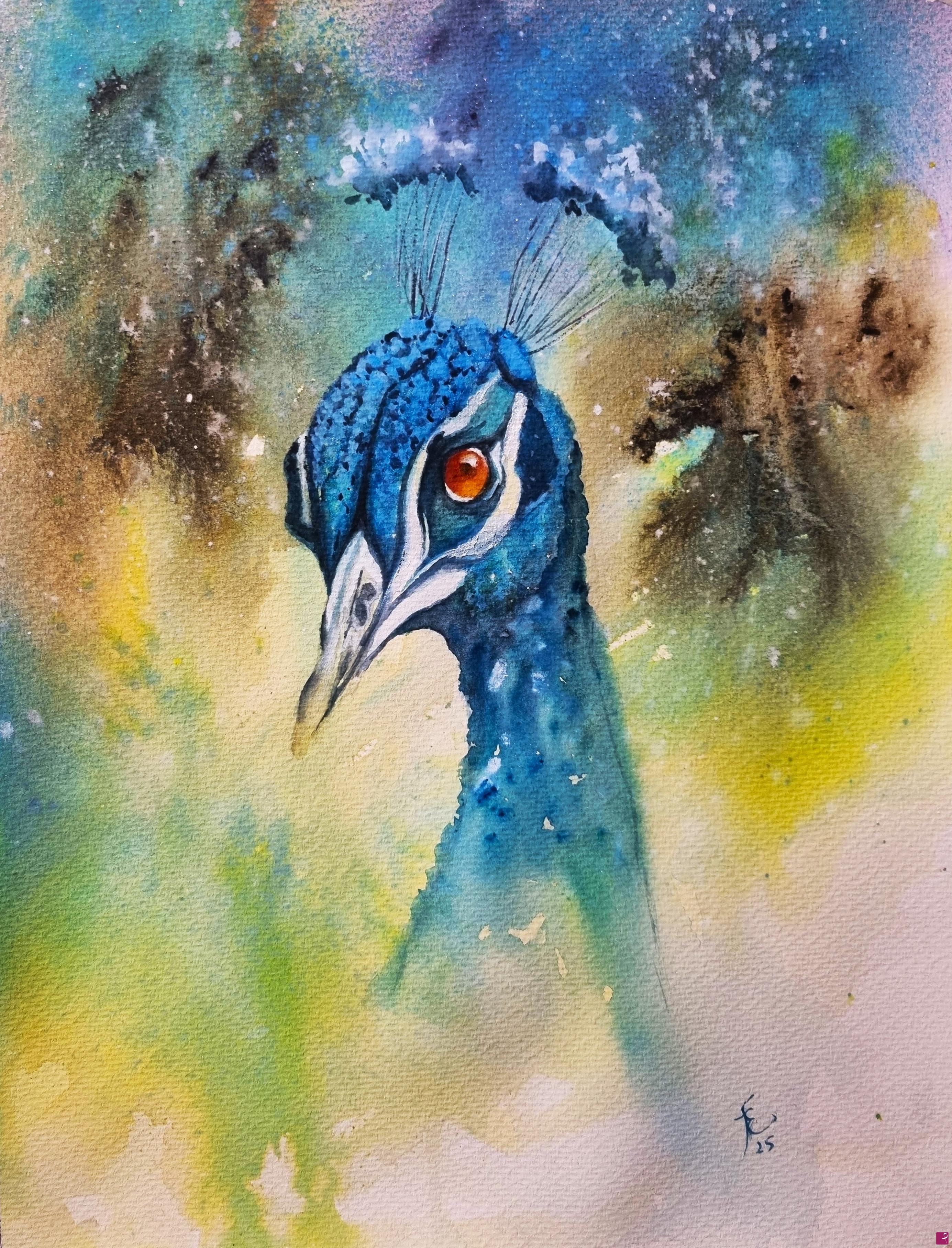 quadri in vendita online - Peacock