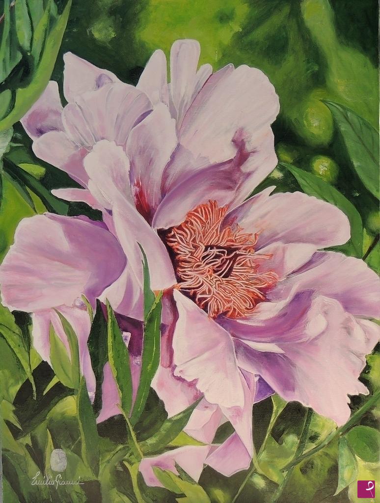 quadri in vendita online - Peonia